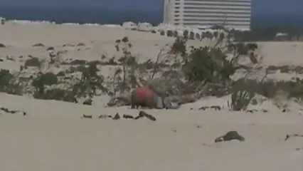 Padrastro bombeado besó a hijastra xxx mexicanas infieles con hermoso cuerpo