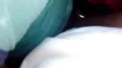 Zorro alienígena